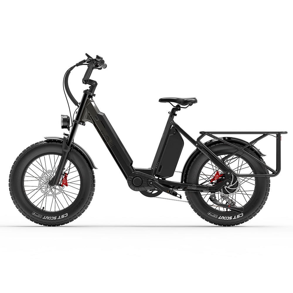 BEZIOR X500MAX 20" Vélo de montagne électrique gros pneu 750W Moteur 48V 37,5Ah Batterie