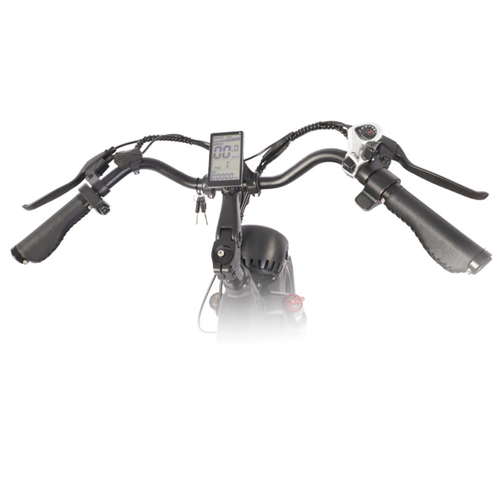 BEZIOR XF001 20" gros pneus rétro vélo tout-Terrain électrique 1000W Moteur 48V 12,5Ah Batterie