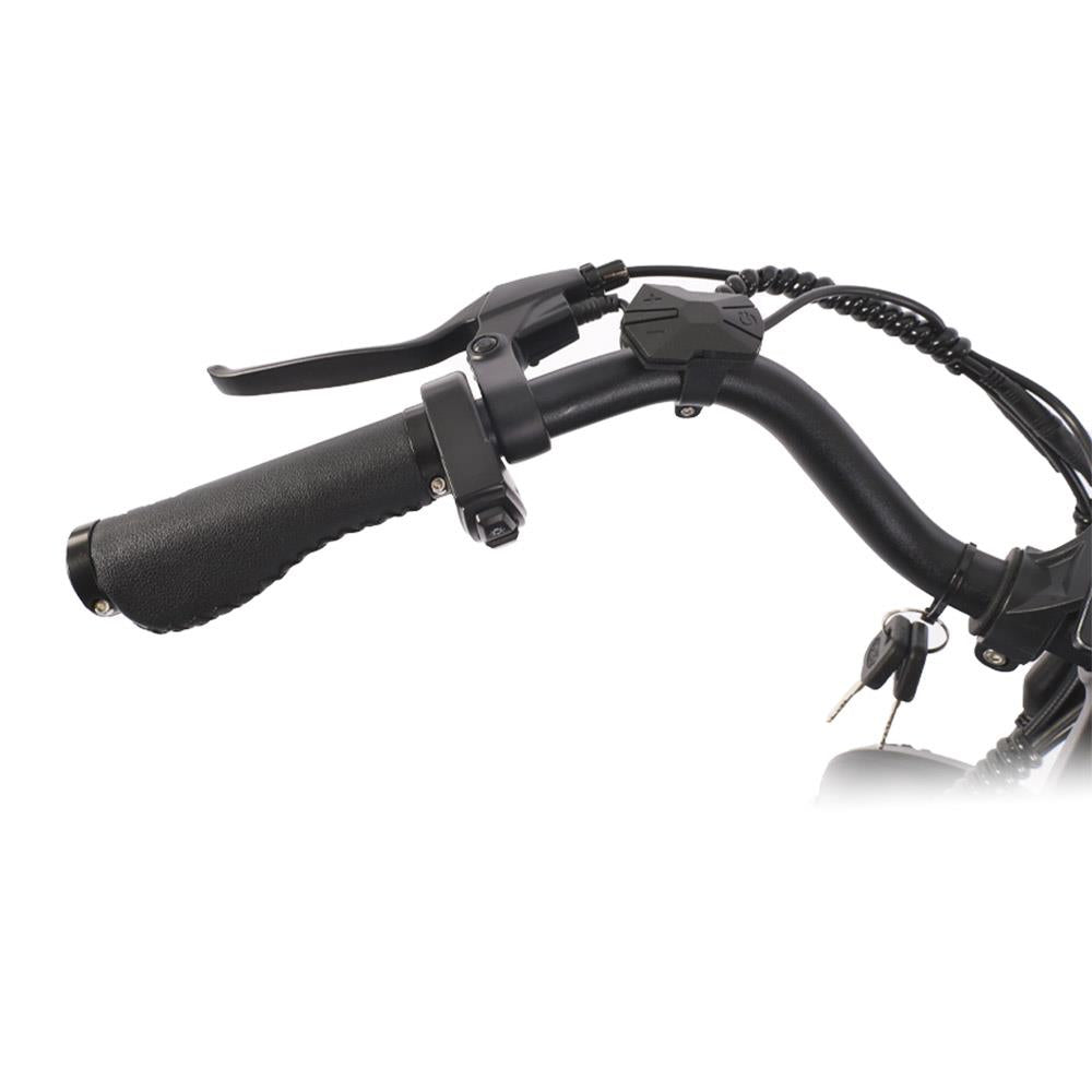 BEZIOR XF001 20" gros pneus rétro vélo tout-Terrain électrique 1000W Moteur 48V 12,5Ah Batterie