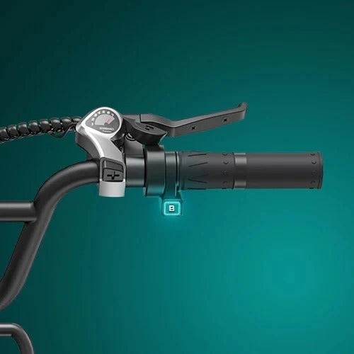 ENGWE L20 Boost 20 Pouces Step Thru Vélo Electrique 250W Moteur 48V 13Ah Batterie