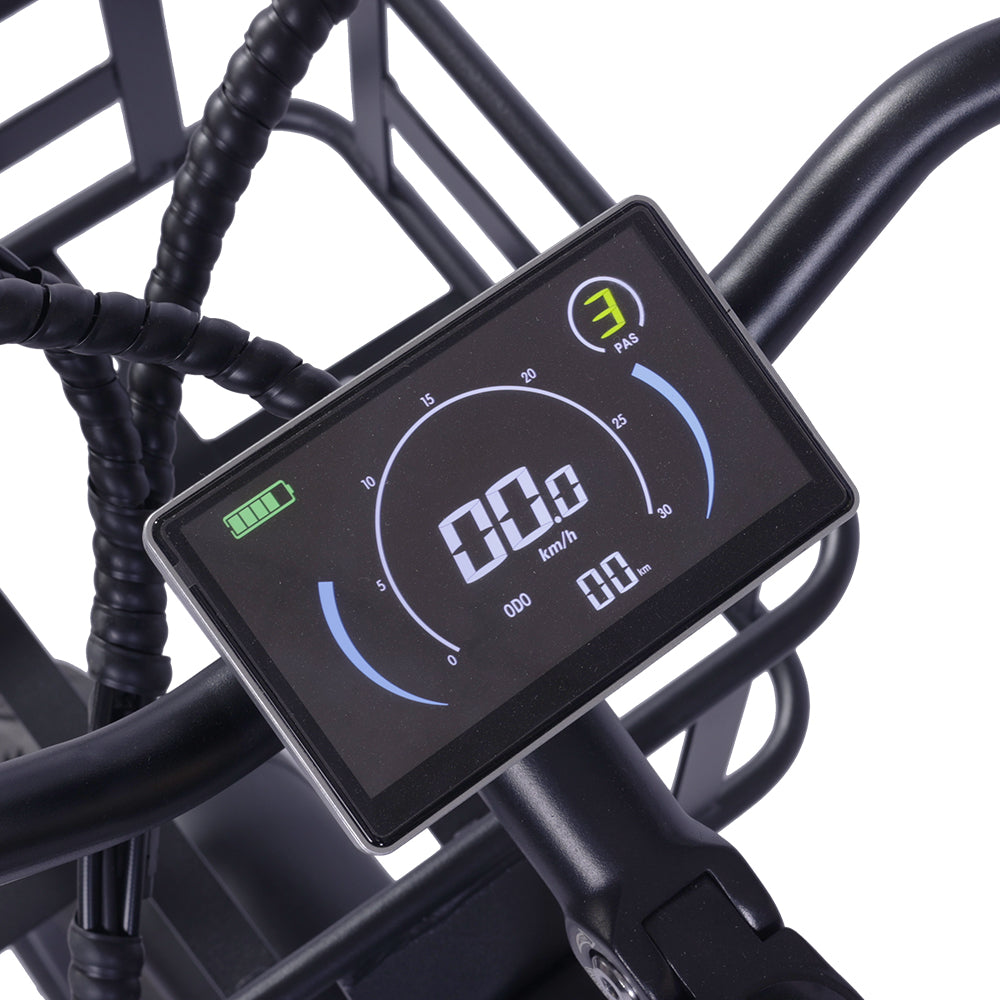 GOGOBEST GF200 Vélo cargo électrique 20" avec moteur 500W et 48V 15,6Ah batterie