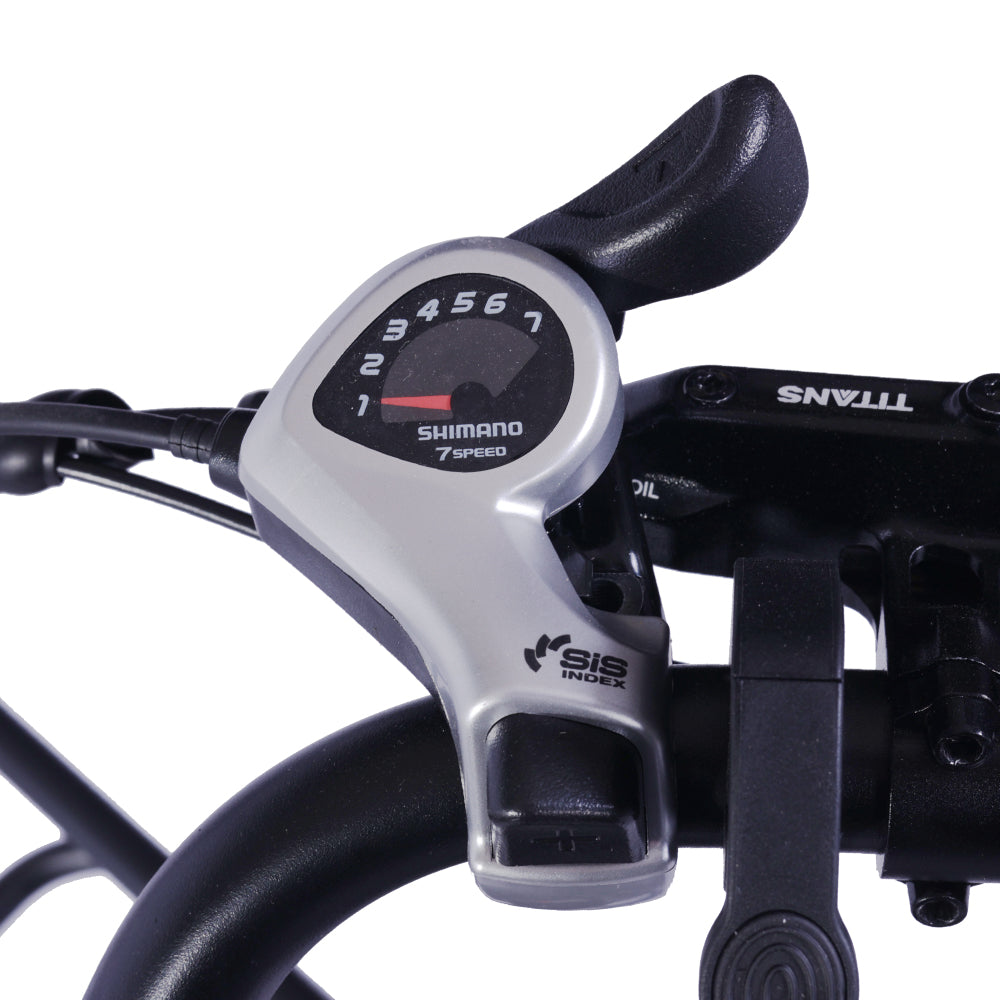 GOGOBEST GF200 Vélo cargo électrique 20" avec moteur 500W et 48V 15,6Ah batterie