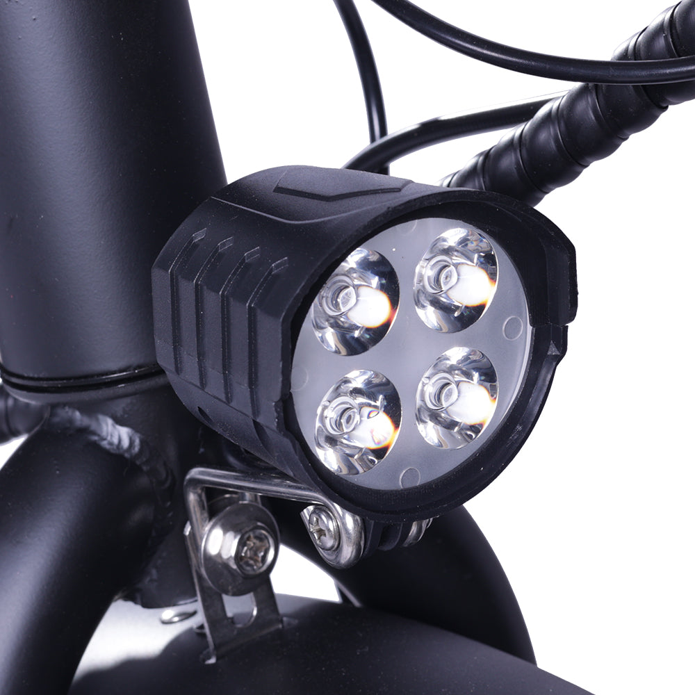 GOGOBEST GF200 Vélo cargo électrique 20" avec moteur 500W et 48V 15,6Ah batterie