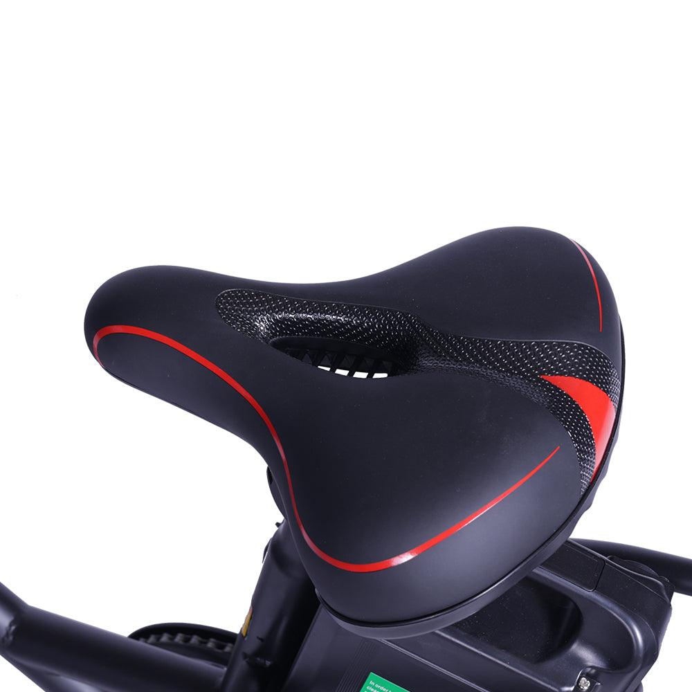 GOGOBEST GF200 Vélo cargo électrique 20" avec moteur 500W et 48V 15,6Ah batterie