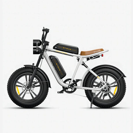 ENGWE M20 20" Vélo électrique tout-terrain à gros pneus 750W Moteur 48V 26Ah Double Batterie
