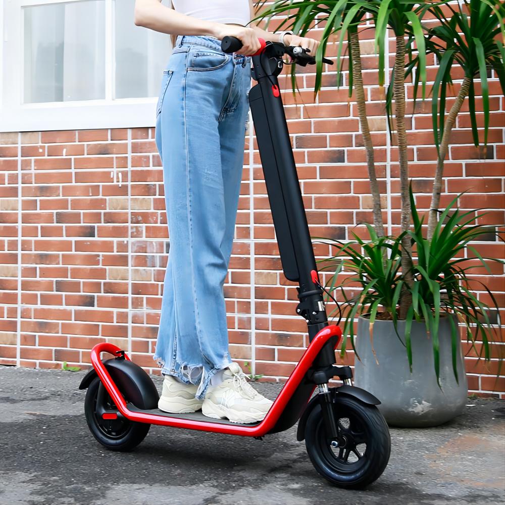 KIXIN X11 10" Trottinette électrique pliante 450W Moteur 36V 13Ah Batterie