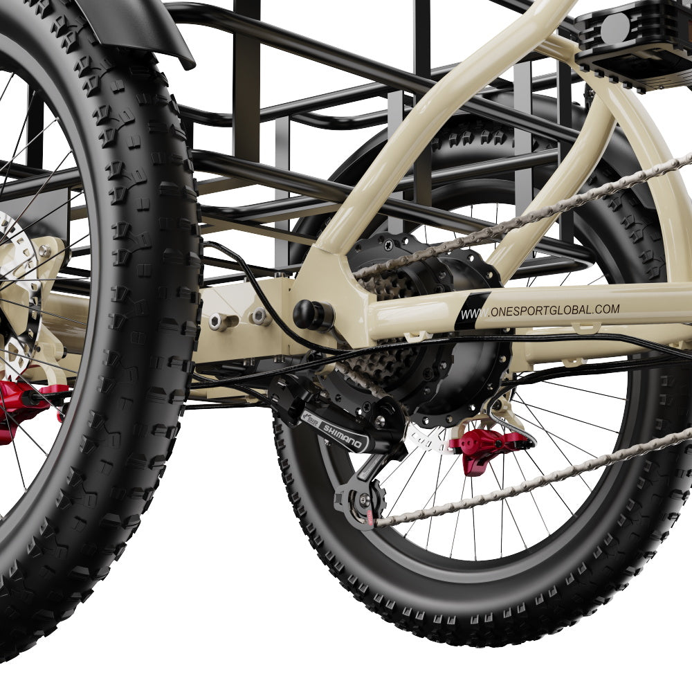 ONESPORT OT30 PRO 20" Tricycle Électrique Pliable 3 Roues Moteur 500W 48V 18Ah Batterie