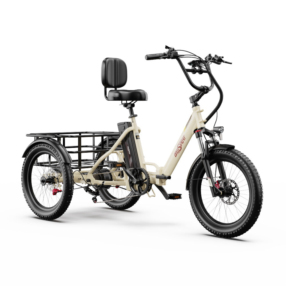 ONESPORT OT30 PRO 20" Tricycle Électrique Pliable 3 Roues Moteur 500W 48V 18Ah Batterie