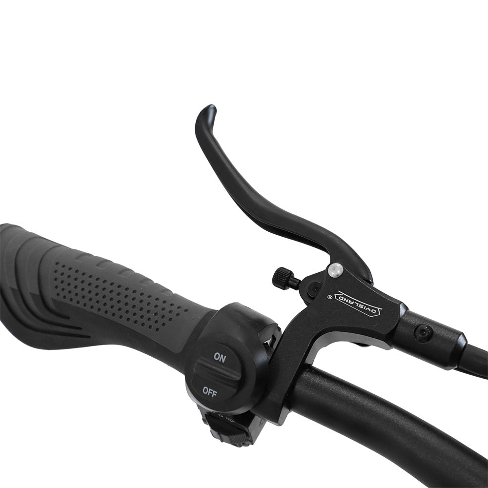 OOTD T30 13" Scooter 3 roues tout-terrain 1600W*2 Moteur double 60V 31.2Ah Batterie