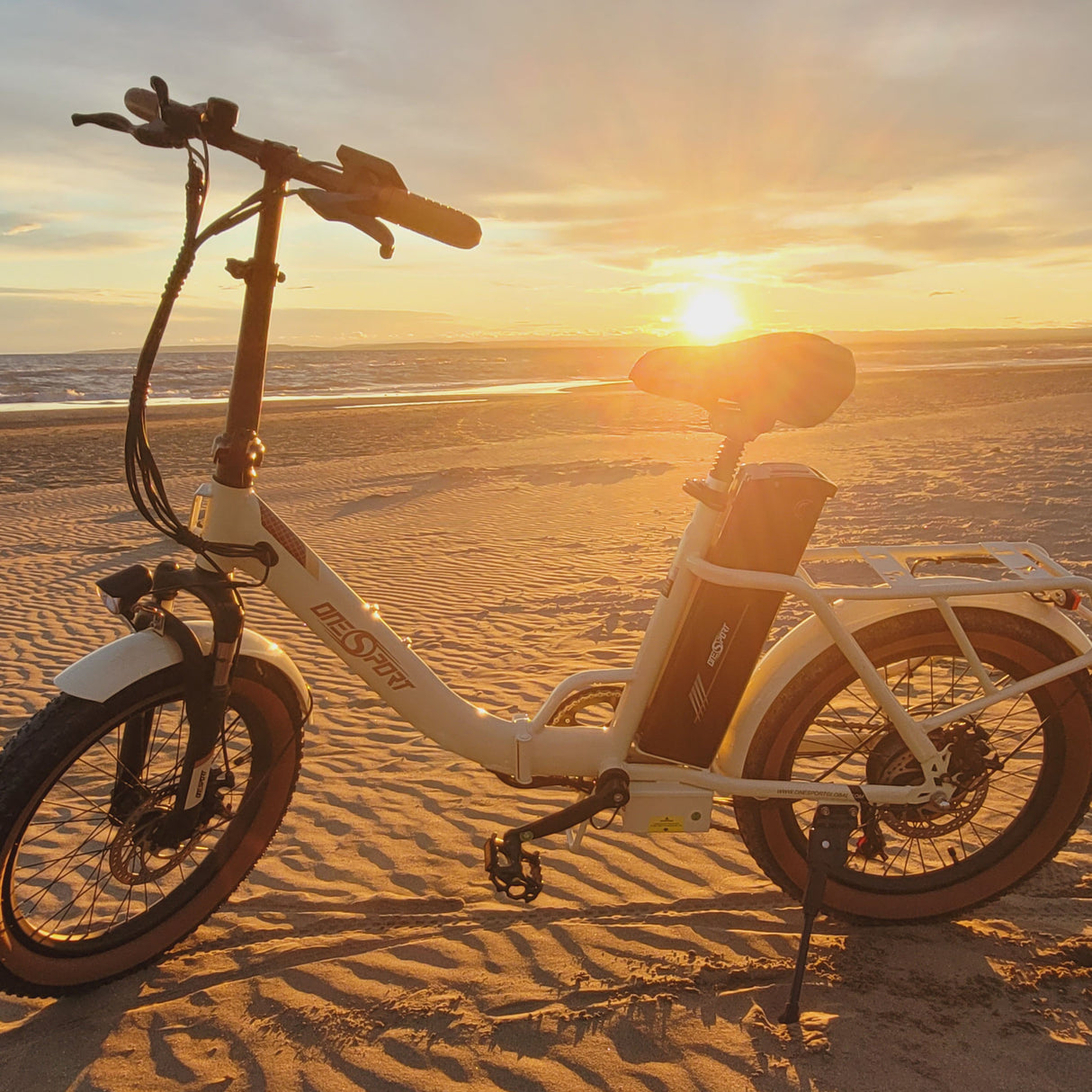 ONESPORT OT16-2 20" Vélo électrique Pliant 250W Moteur 48V 17Ah Batterie Application de soutien