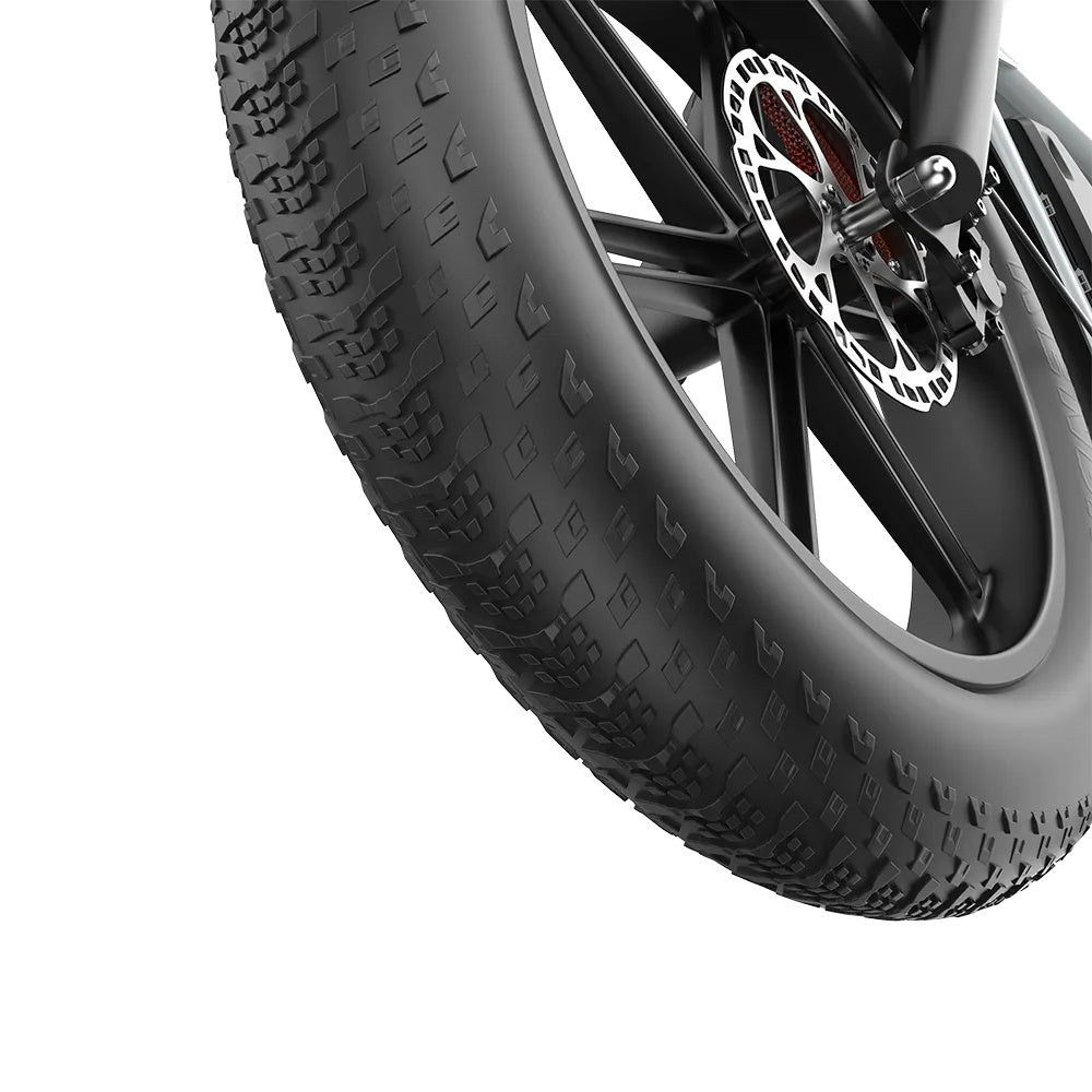 PIXAR M9 20" Fat Tire Vélo électrique rétro 250W Moteur 48V 35Ah Batterie