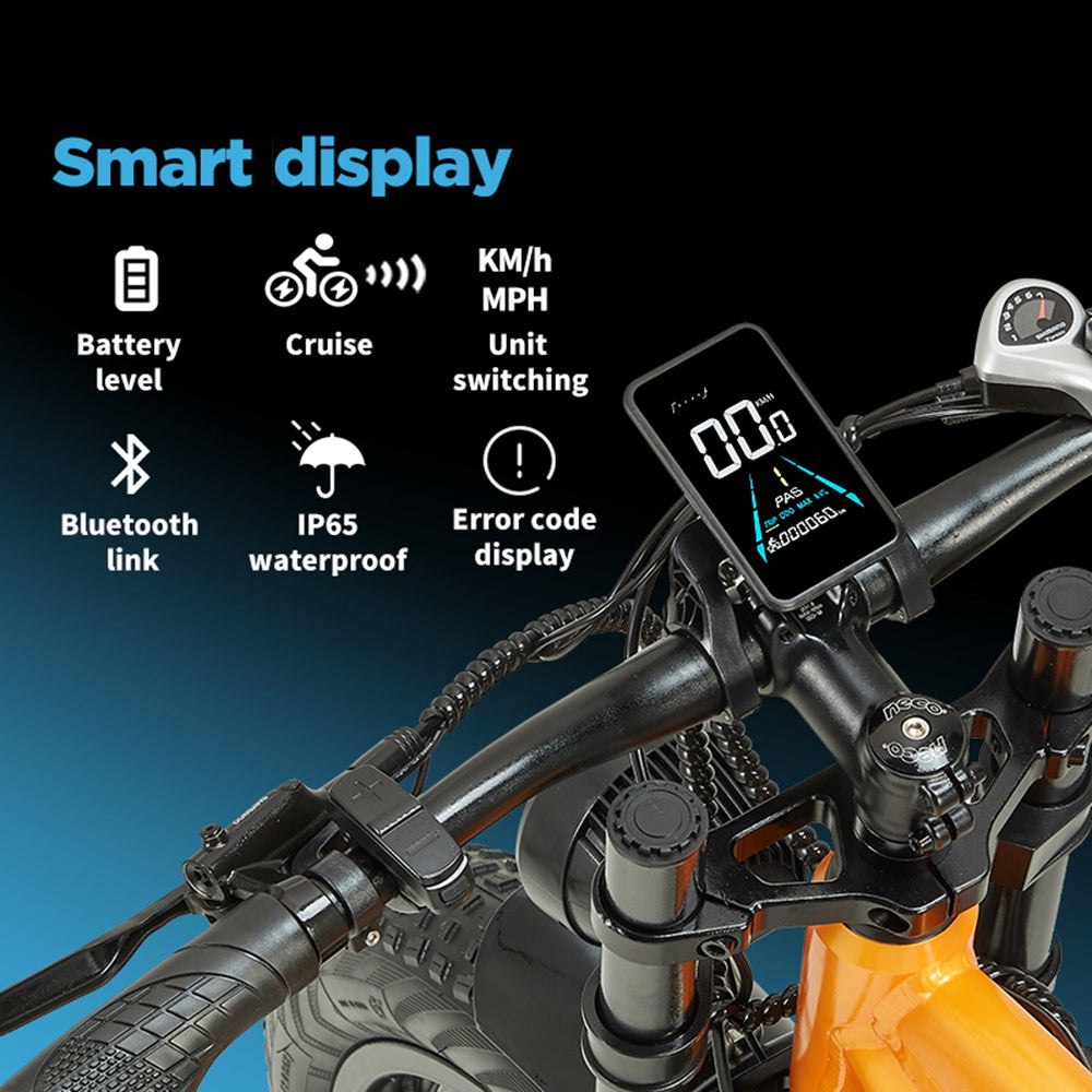 RANDRIDE YX80M-2 Vélo électrique de montagne 26" 1000W*2 Dual Motors 48V 20Ah Batterie