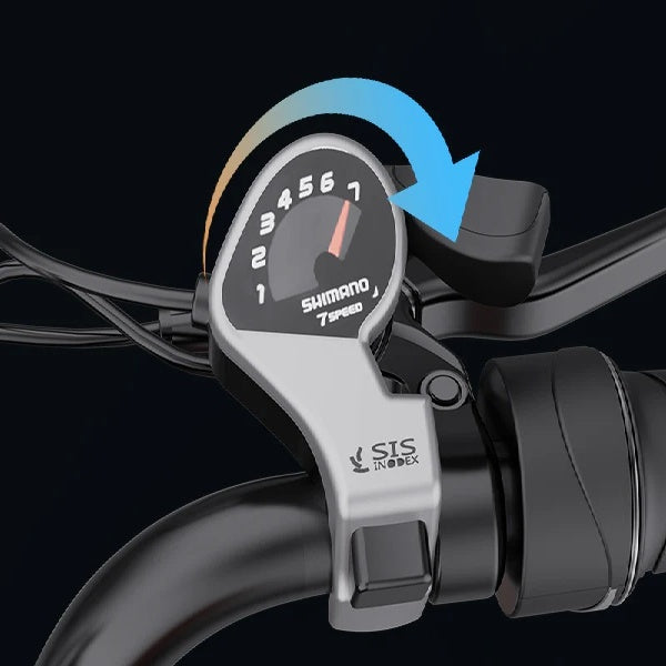YVY CR20 20" Vélo Électrique Style Rétro Tout-Terrain Moteur 1000W Batterie 48V 20Ah