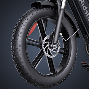 YVY FM001 20" Vélo Électrique 2 Places à Pneus Larges Moteur 1000W 48V 15Ah Batterie