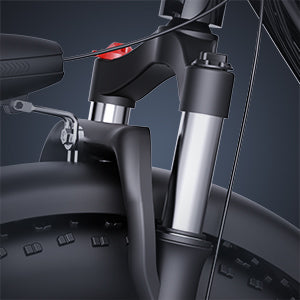 YVY FM001 20" Vélo Électrique 2 Places à Pneus Larges Moteur 1000W 48V 15Ah Batterie