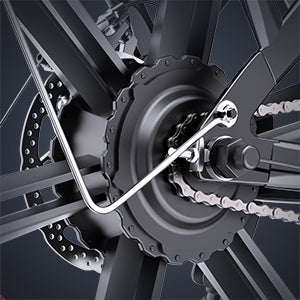 YVY FM001 20" Vélo Électrique 2 Places à Pneus Larges Moteur 1000W 48V 15Ah Batterie