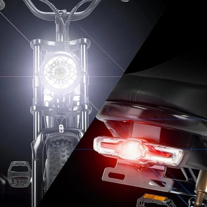 Bicicleta eléctrica RIDSTAR Q20 de 20 pulgadas con neumáticos anchos, motor de 1000 W y batería de 48 V y 20 Ah