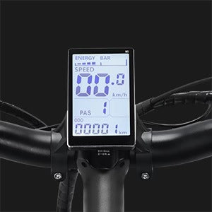 RIDSTAR Q20 20" Fat Tires Vélo électrique 1000W Moteur 48V 20Ah Batterie