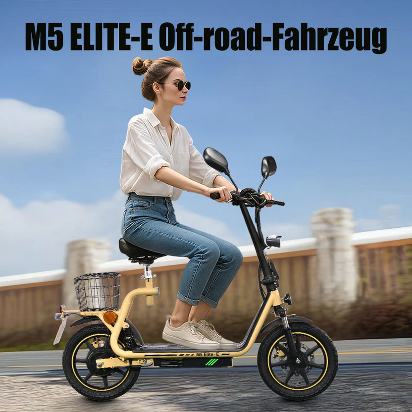 TWOFISH M5 Elite-E 14" Trottinette Electrique Pliable 500W Moteur 48V 13Ah Batterie
