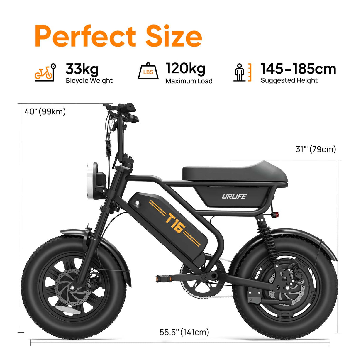 URLIFE T16 16" Vélo électrique tout-terrain 250W Moteur 48V 13Ah Batterie