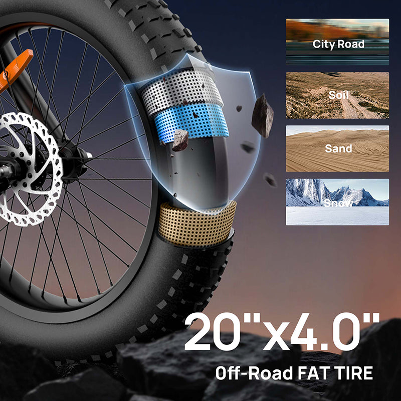 URLIFE T2 20" Vélo électrique tout-terrain 250W Moteur 48V 15.6Ah Batterie