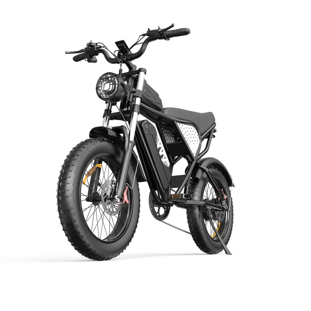 YVY C20(Q20) 20" Fat Tires Vélo électrique 1000W Moteur 48V 20Ah Batterie
