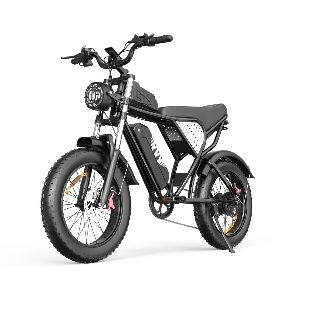 YVY C20(Q20) 20" Fat Tires Vélo électrique 1000W Moteur 48V 20Ah Batterie