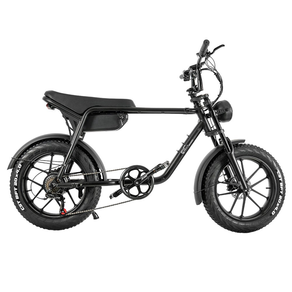 CMACEWHEEL K20 20" Fat Tire Vélo électrique 750W Moteur 48V 17Ah Batterie