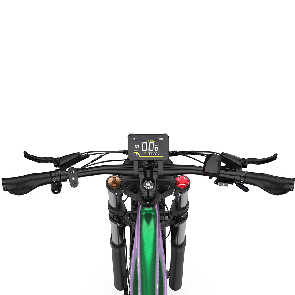 DUOTTS E26 VTT Électrique 26" Moteur 750W Puissant Autonomie Longue 48V 20Ah Batterie