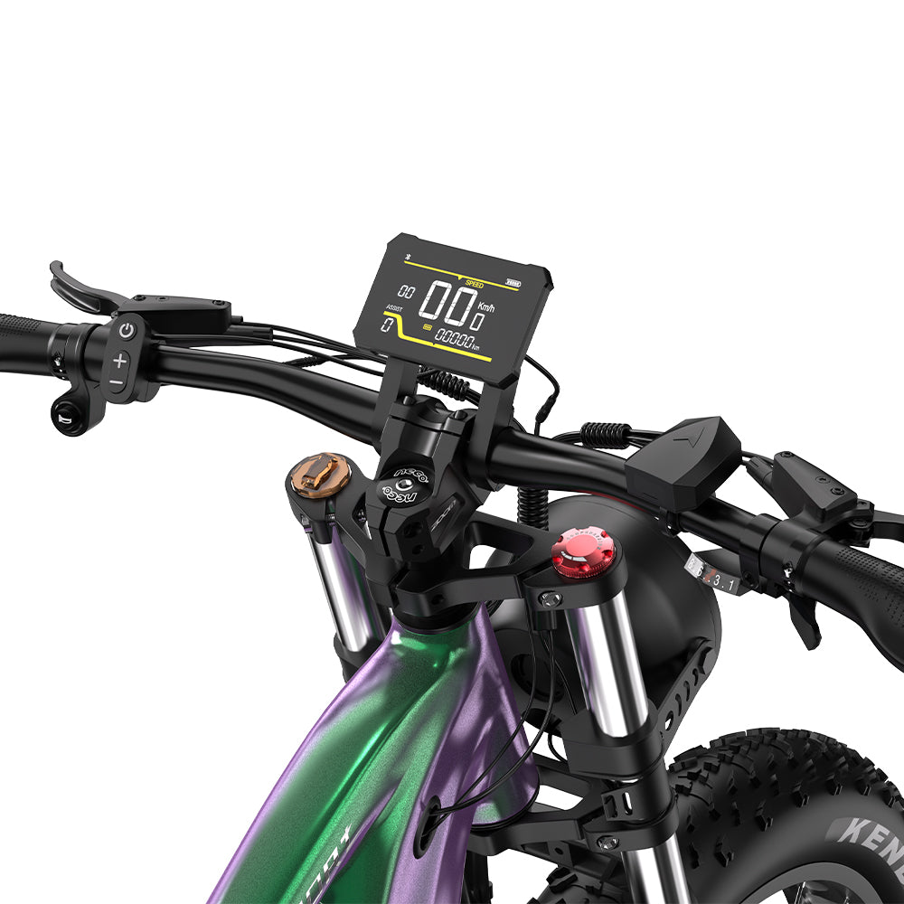 DUOTTS E26 VTT Électrique 26" Moteur 750W Puissant Autonomie Longue 48V 20Ah Batterie