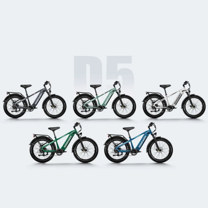 HIMIWAY D5 (Zebra) 26" Fat Tire All-terrain Vélo électrique 750W Moteur 48V 20Ah Batterie