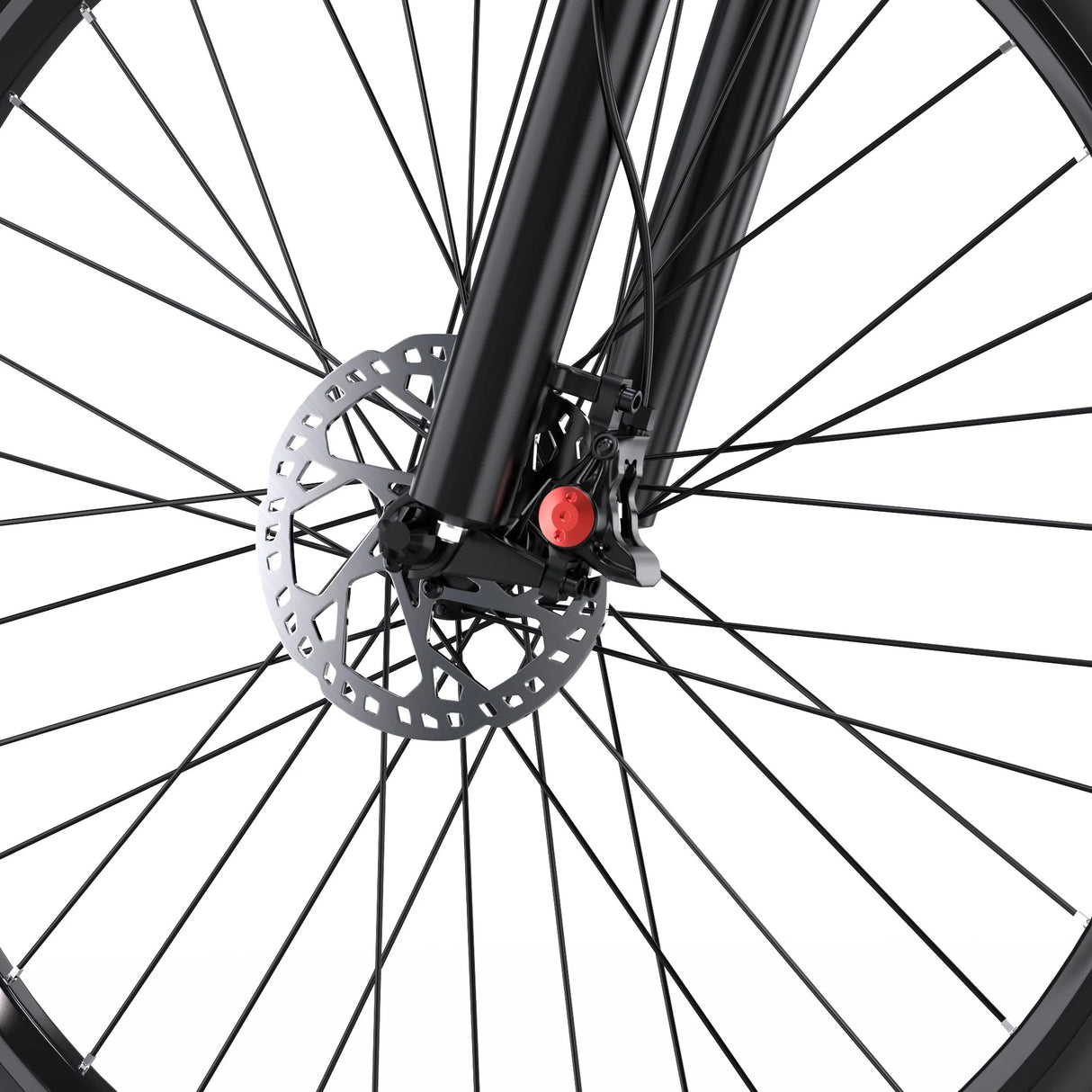 DUOTTS C29-L 29" VTT électrique 750W Moteur 48V 15Ah Batterie