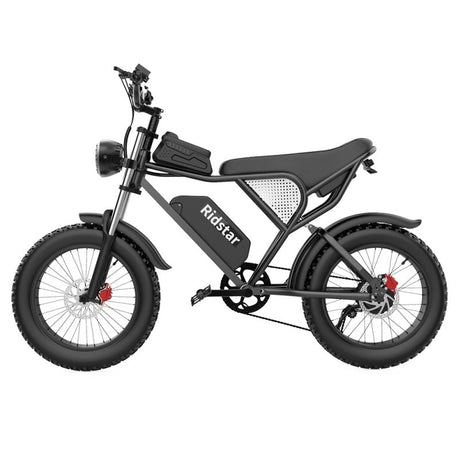 Ridstar-Q20-Fat-Tires-Vélo-électrique-1000W-Moteur-48V-20Ah-Batterie-noir