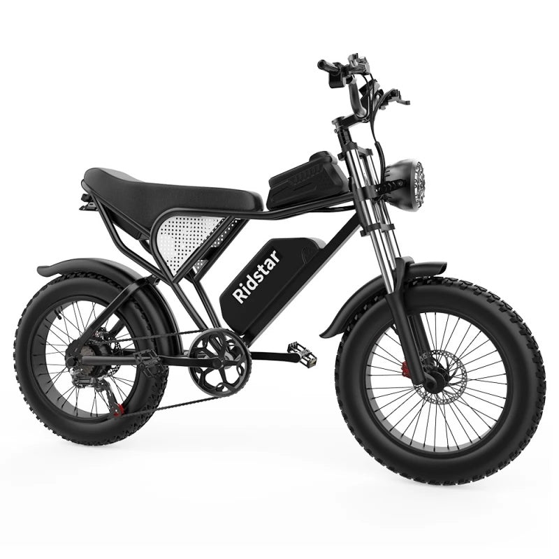 Ridstar-Q20-Fat-Tires-Vélo-électrique-1000W-Moteur-48V-20Ah-Batterie-noir