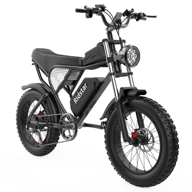Ridstar-Q20-Fat-Tires-Vélo-électrique-1000W-Moteur-48V-20Ah-Batterie-noir