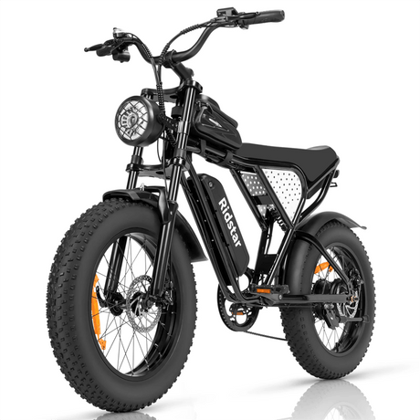 Ridstar-Q20-Lite-Fat-Tires-Vélo-électrique-1000W-Moteur-48V-15Ah-Batterie-noir
