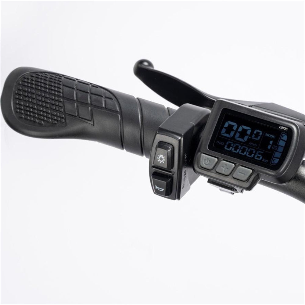 Ridstar-Q20-Lite-Fat-Tires-Vélo-électrique-1000W-Moteur-48V-15Ah-Batterie-noir