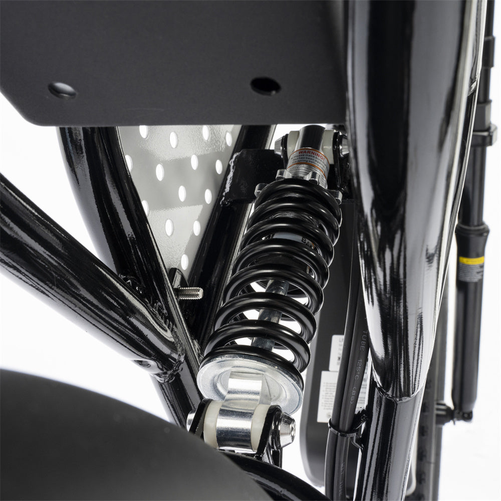 Ridstar-Q20-Lite-Fat-Tires-Vélo-électrique-1000W-Moteur-48V-15Ah-Batterie-noir