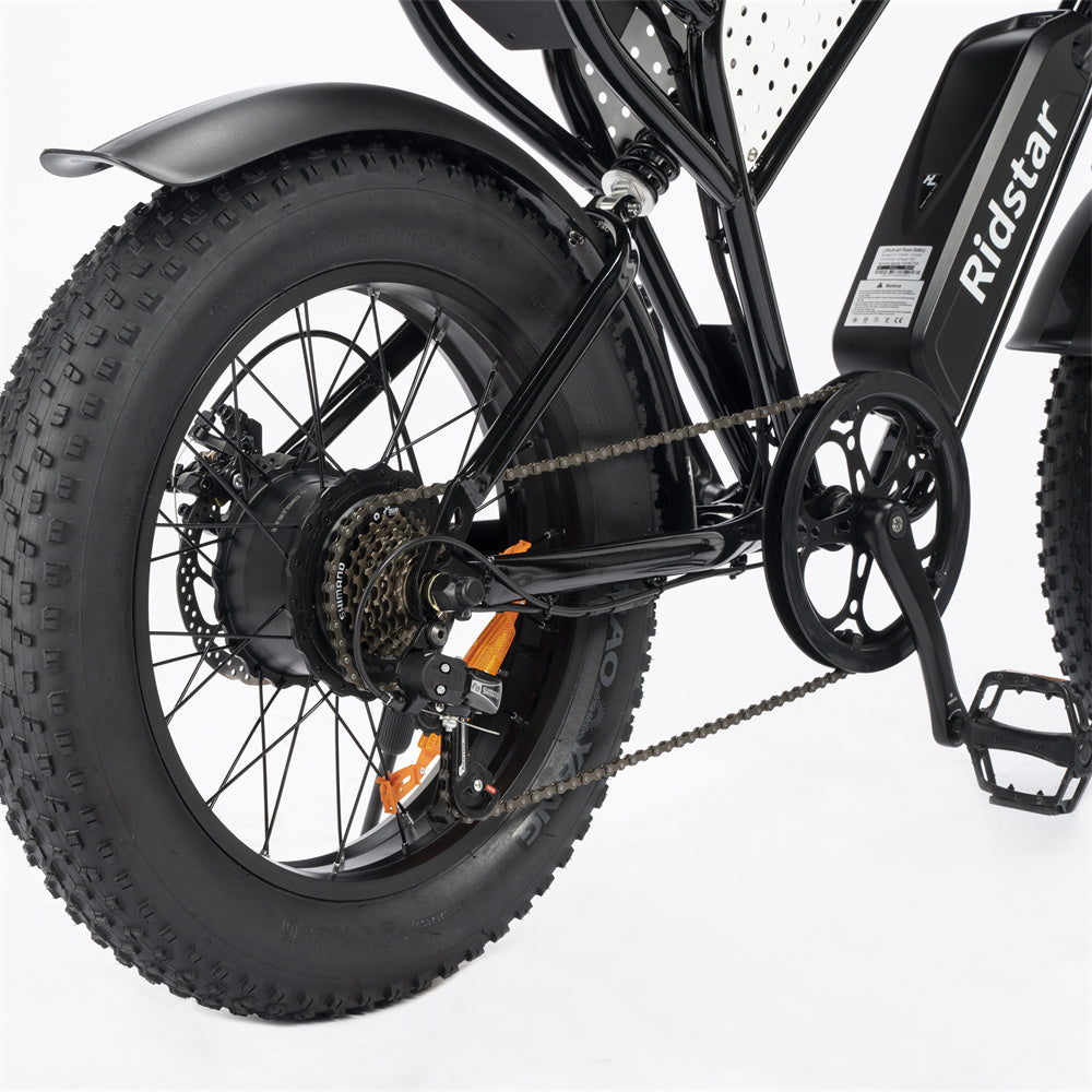 Ridstar-Q20-Lite-Fat-Tires-Vélo-électrique-1000W-Moteur-48V-15Ah-Batterie-noir
