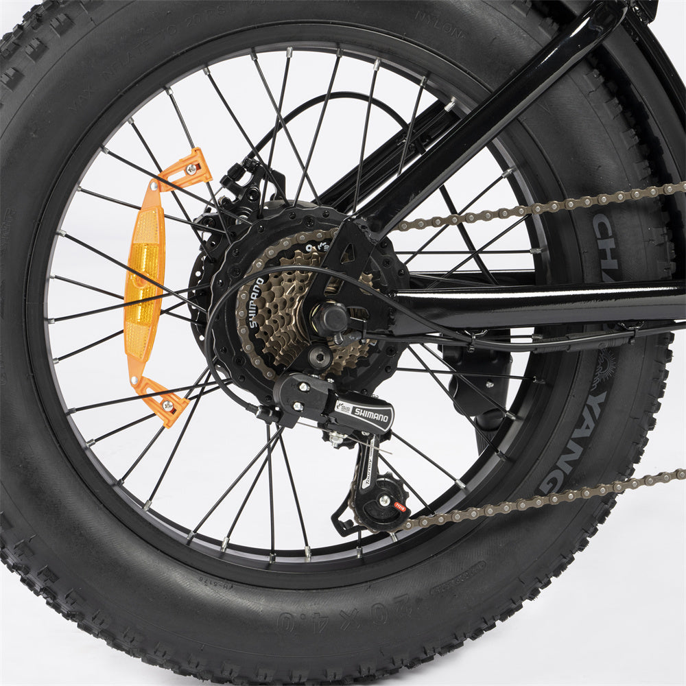 Ridstar-Q20-Lite-Fat-Tires-Vélo-électrique-1000W-Moteur-48V-15Ah-Batterie-noir