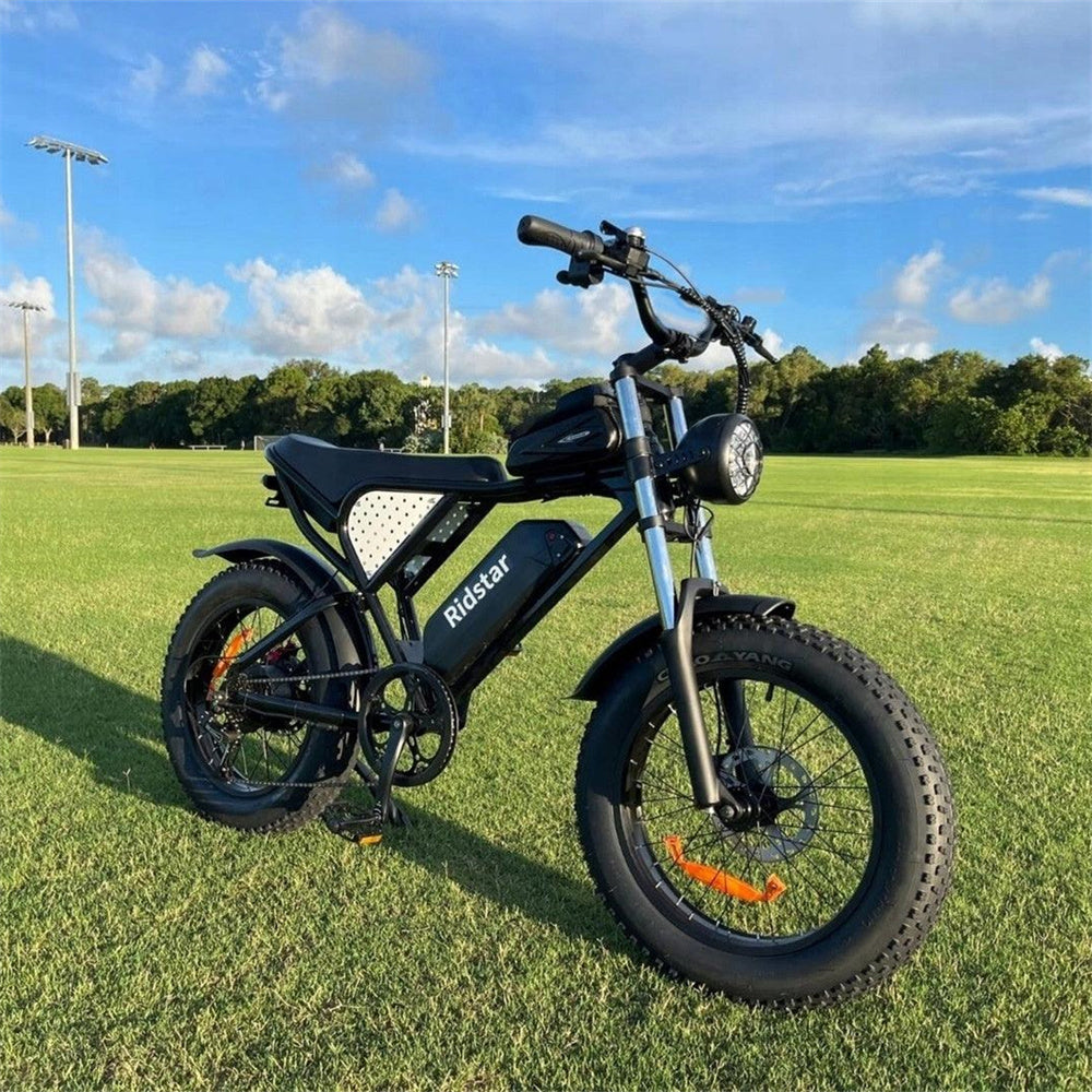 Ridstar-Q20-Lite-Fat-Tires-Vélo-électrique-1000W-Moteur-48V-15Ah-Batterie-noir