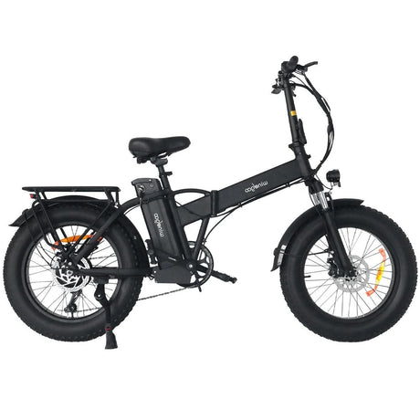 WINDGOO F21 PRO 20" Vélo Électrique Pliant 250W Moteur 48V 12.5Ah Batterie