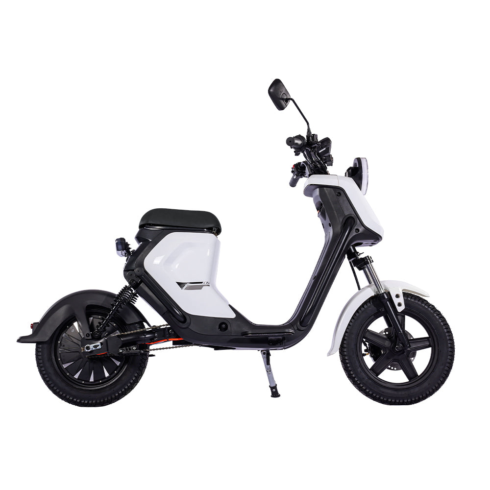 BEZIOR XIAONIU B 20" Electric Bike 1500W Moteur 48V 20Ah Batterie