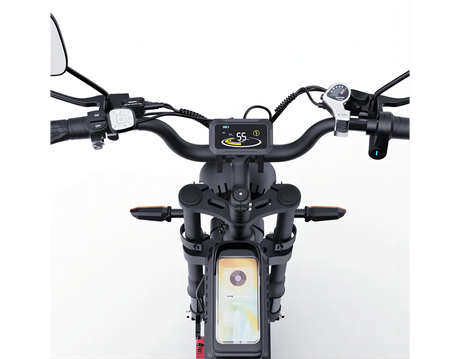 RIDSTAR Q20 Pro Paramètres d'affichage du vélo électrique