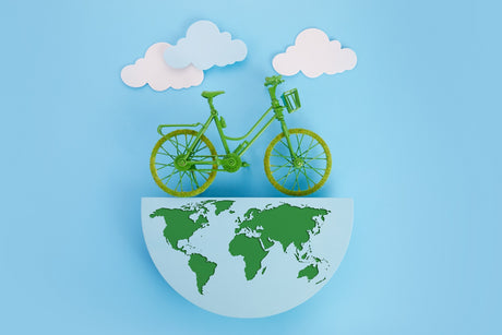 Célébration de la Journée mondiale du vélo