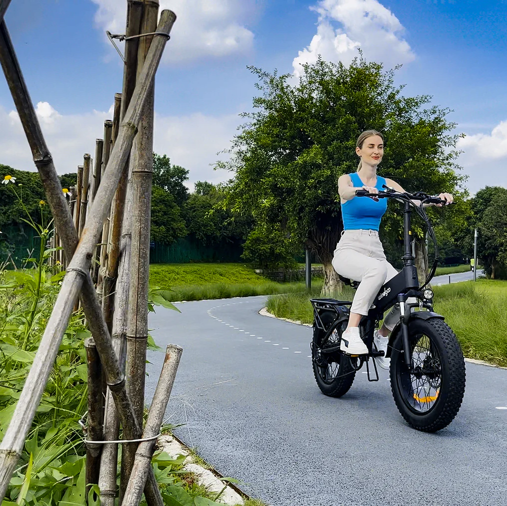 WINDGOO F22 PRO 20" Vélo Électrique Pliant 250W Moteur 48V 12.5Ah Batterie