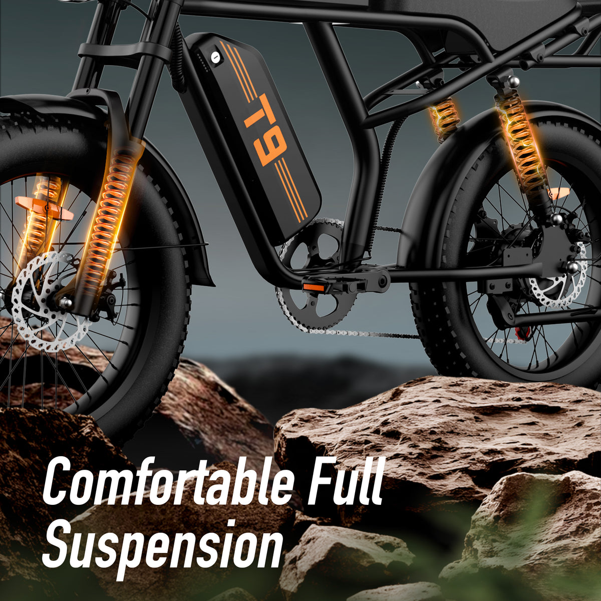 URLIFE T9 20" Vélo électrique tout-terrain 250W Moteur 48V 15.6Ah Batterie