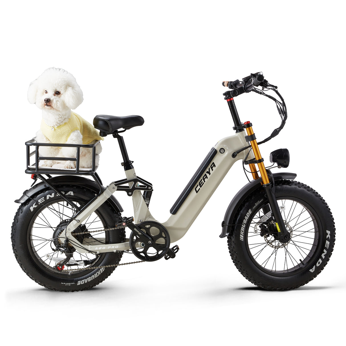 CEAZA A20 Pro 20" Vélo Électrique Tout-Terrain Pneus Larges 500W Moteur 48V 20Ah Batterie