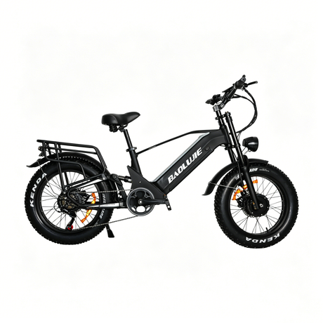 BAOLUJIE P4 DP 2011 24" VTT électrique 2000W Moteur 48V 20Ah Batterie