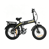 BAOLUJIE BLJ D7 20" Vélo électrique pliant 500W Moteur 48V 12Ah Batterie